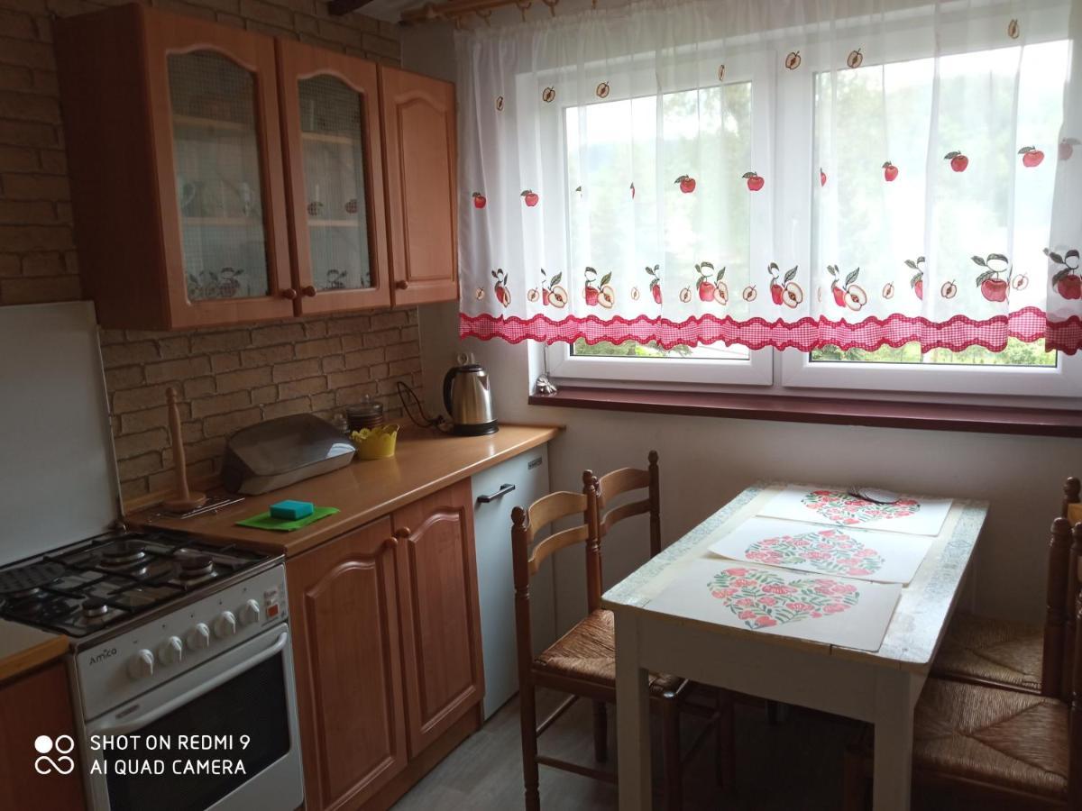 Domek I Apartamenty Stokrotka Krynica-Zdrój Exteriér fotografie